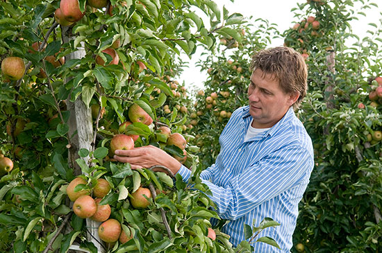 Bert den Haan